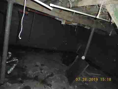 2650 Taylor 2nd trip (26)_m.jpg